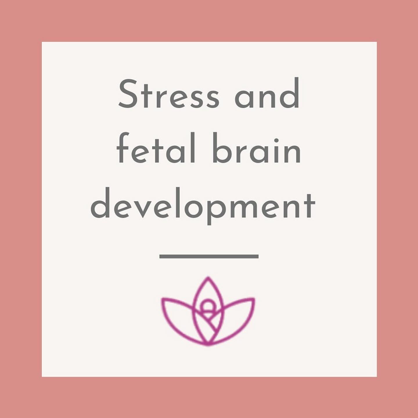 How-to give your baby a head start with stronger and healthier DNA✨
Did you know that you can set your baby up for success while they are still developing?
There is a vastly growing field of fetal development and fetal psychology: The in-utero envi